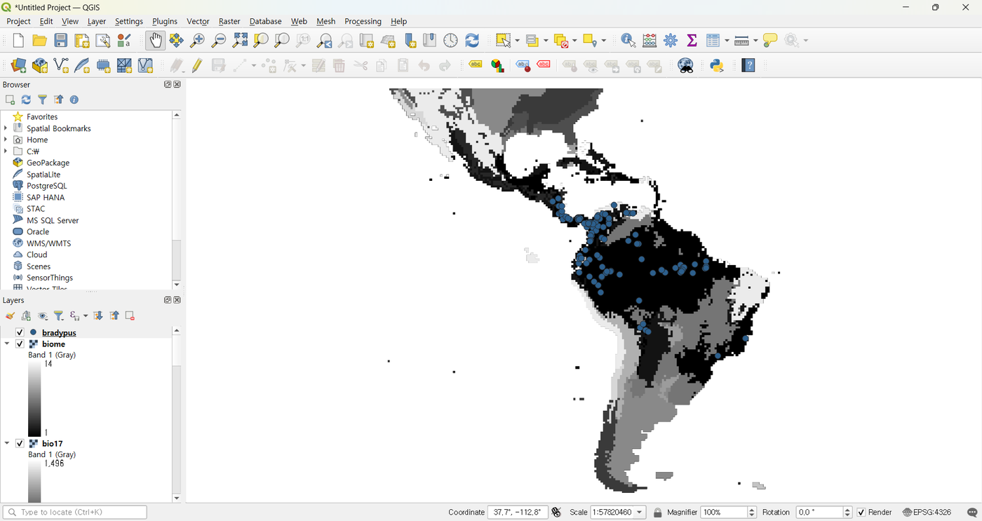 Bradypus presence points overlaid on the bio17 raster across Central and South America
