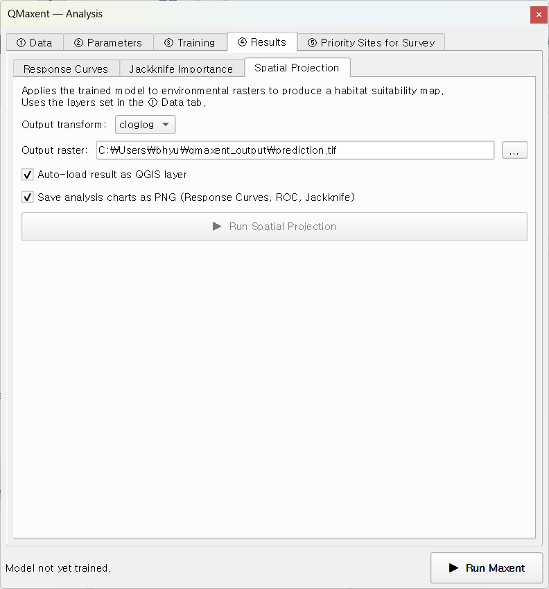 Spatial Projection sub-tab before clicking Run